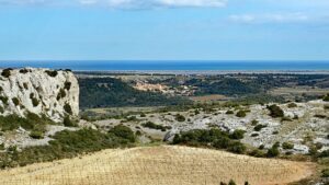 roquefort corbières 