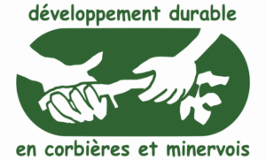 DDCM11